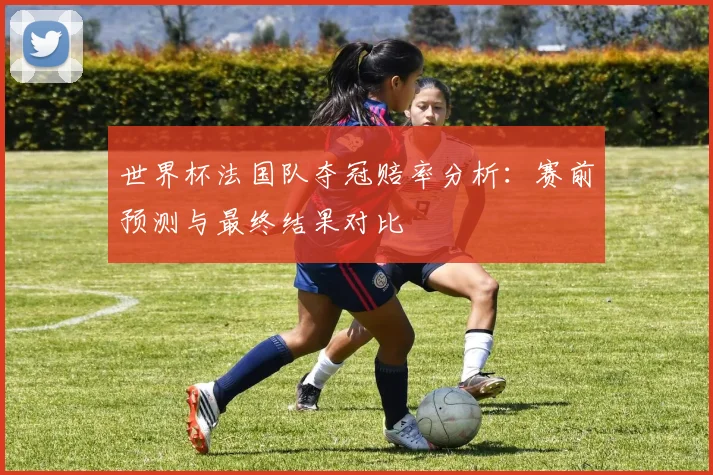 世界杯法国队夺冠赔率分析：赛前预测与最终结果对比
