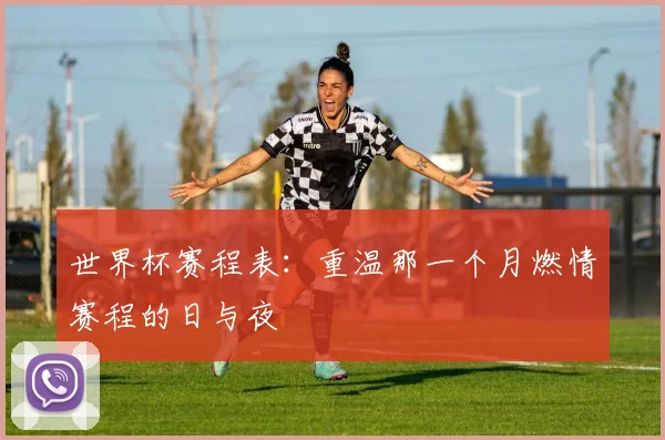世界杯赛程表:重温那一个月燃情赛程的日与夜