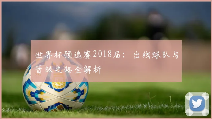 世界杯预选赛2018届:出线球队与晋级之路全解析