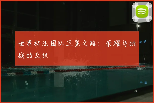 世界杯法国队卫冕之路：荣耀与挑战的交织